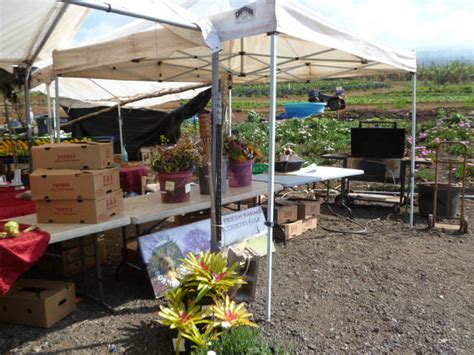 Maui Jungalow Maui Nui Farm Kula Farmers Market