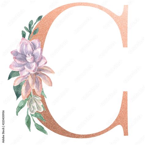 Watercolor Monogram Alphabet Letter C Rose Gold Foil Stock Illustration