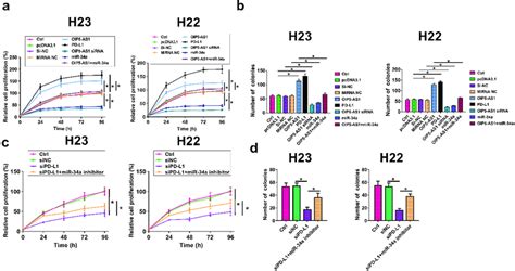 OIP5 AS1 Targets MiR 34a And Regulates PD L1 Cell Proliferation Was