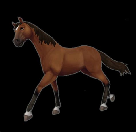 Wiki Star Stable Online Amino