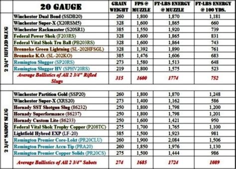 Shotgun Slugs: 20 Gauge vs. 12 Gauge - Part 2