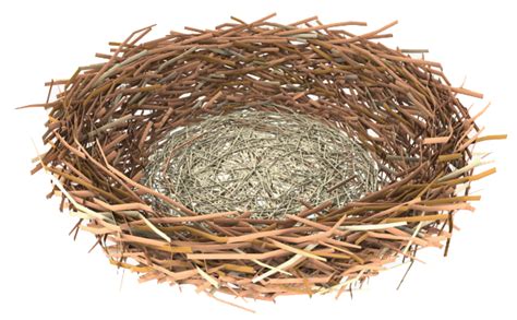 Easter Egg Nest Transparent Png Clip Art Image Nest Clipart Png Images