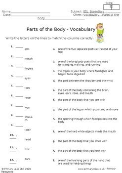 Parts Of The Body Vocabulary By Othmone Chihab Tpt