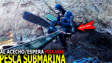 Pesca Submarina Al Acecho Espera En Poqu Sima Agua Youtube