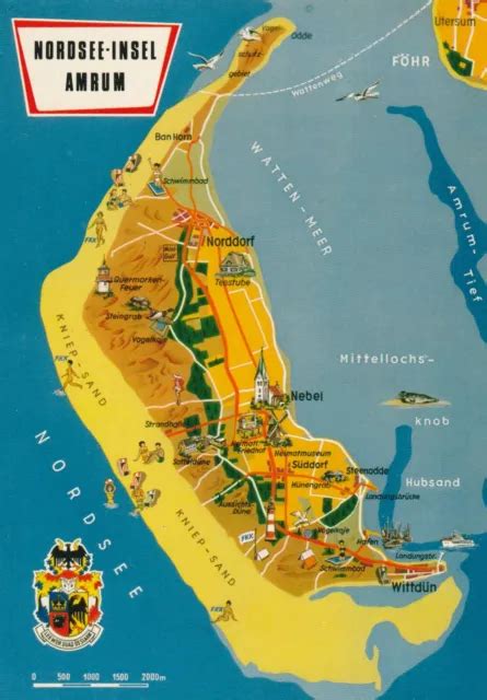 AK MAP LANDKARTE Umgebungskarte INSEL AMRUM XXX EUR 1 00