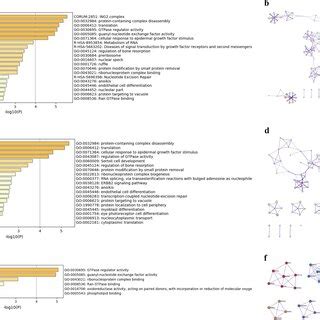 Go Annotation Of Btg Related Genes In Ec A B The Cellular Components