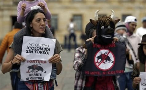 Aprueban Ley Que Proh Be Las Corridas De Toros En Colombia El Momento