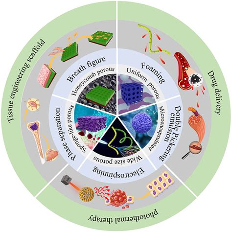 Frontiers Self Assembled Polylactic Acid PLA Synthesis Properties