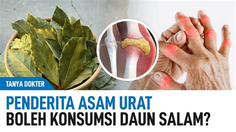 Benarkah Daun Salam Bisa Untuk Asam Urat Kata Dokter Youtube