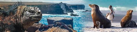 Volcanoes of the Galapagos Islands: When was the last eruption? | Aqua ...