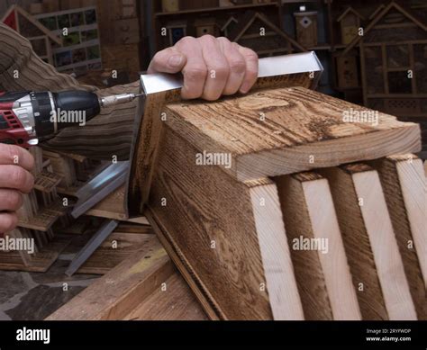 Drilling In A Carpentry With Wood Stock Photo Alamy