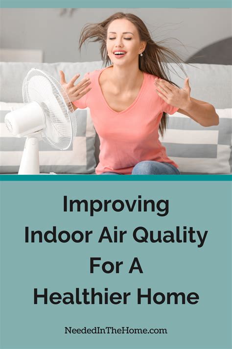 Improving Indoor Air Quality Simple Steps For A Healthier Home Neededinthehome