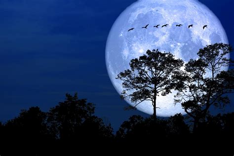 Discover the Beauty of the Full Moon: A Collection of 30+ Stunning Images