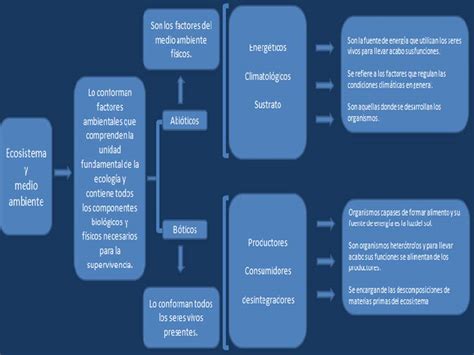 Larissa Azpeitia Act Cuadro Sin Ptico De Factores Del Medio Ambiente