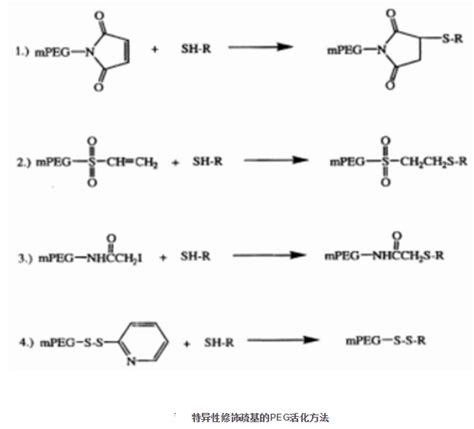 Peg聚乙二醇的分子特性及六种活化方法介绍 Udp糖丨mof丨金属有机框架丨聚集诱导发光丨荧光标记推荐西安齐岳生物