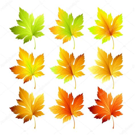 Set Of Colorful Autumn Leaves Vector Illustration — Stock Vector