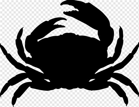 Animal Crab Crustacean Ocean Sea Silhouette Png Pngwing