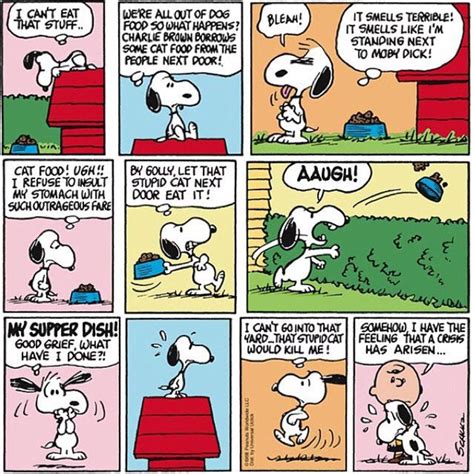 10 Funniest Peanuts Comics Where Snoopy Loses His Cool