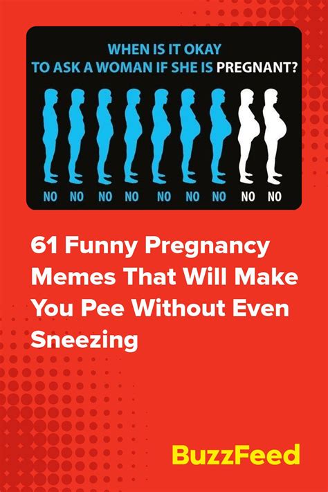 61 Funny Pregnancy Memes That Will Make You Pee Without Even Sneezing