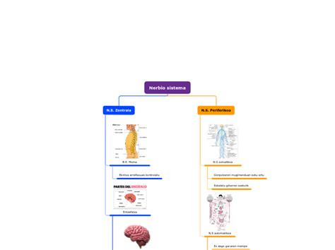 Nerbio Sistema Mind Map