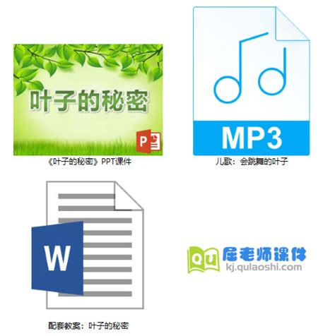 小班科学课件《叶子的秘密》ppt课件教案音乐下载屈老师课件网