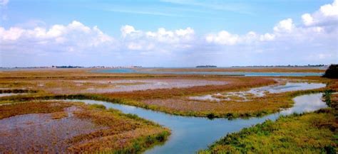 Dall Ossigeno Negli Oceani Una Risorsa Contro Il Cambiamento Climatico