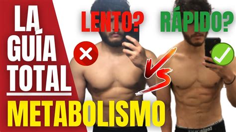 Metabolismo R Pido Vs Lento Cu L Tienes T C Mo Acelerarlo Gu A