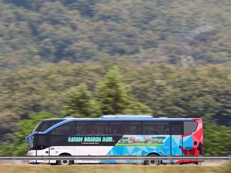 Bus Safari Dharma Raya Jadwal Dan Tarif Bus