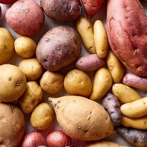 Gekeimte Kartoffeln Essen Oder Wegwerfen Alles Was Sie Wissen M Ssen