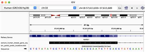 Pre Designed Xenium Gene Expression Panels Official 10x Genomics Support