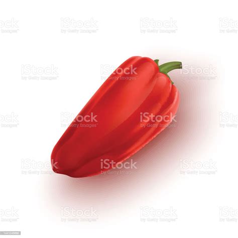 Sweet Pepper Of Red Color Vector Illustration Isolated On White