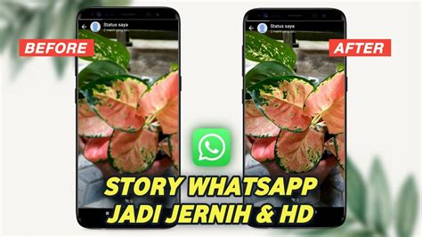 Cara Membuat Story WA Jadi Jernih Di Semua Android YouTube