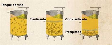 Aprender Sobre Vino Trasiego Del Vino Blog Vinopremier