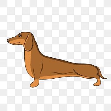 Perro Salchicha Png Im Genes Transparentes Pngtree