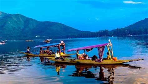 Shikara Ride in Dal Lake Srinagar | Best Guide About Cost, Timing