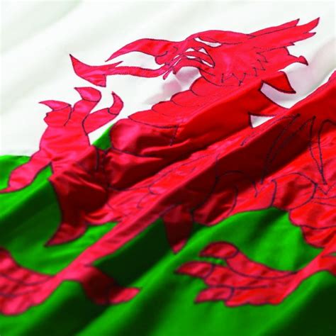 History and Symbolism of the Welsh flag - Harrison Flagpoles