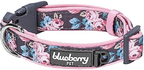 8 Best Dog Collars For Sensitive Skin - WAF