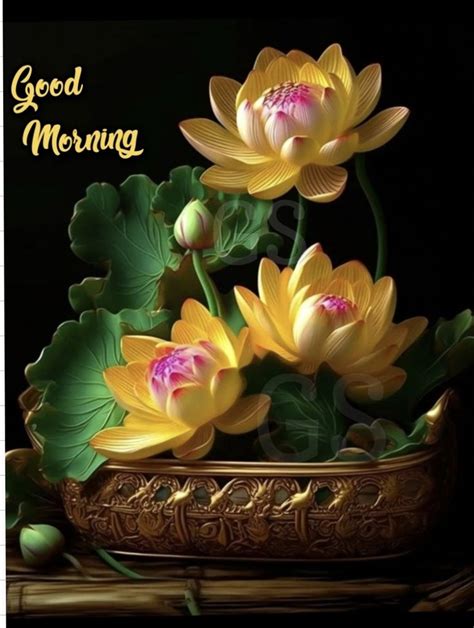 Pin By B K Nagar Bsnl On Morning Good Morning Flowers Quotes Good