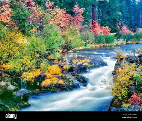 Rogue River and fall color. Rogue River Wild and Scenic River, Oregon ...