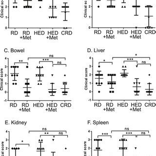 Metformin Met Decreases The Tumor Burden And Ascites Volume Mouse