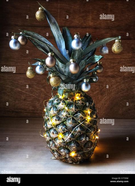 Tropical tree christmas lights hi-res stock photography and images - Alamy