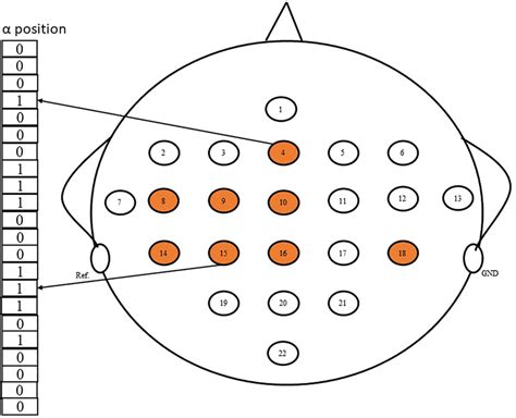 Selected Eeg Channels For Subject A Based On Alpha Position Using