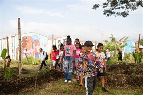 M S De Veintinueve Mil Metros Cuadrados Del Jarill N Del R O Cauca Han