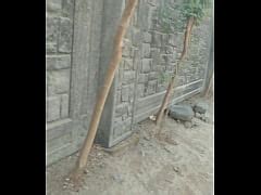 Old Aunty Part Free Mobile Porn Videos IPornTV