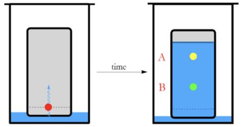 Mcat Ochem Separation Techniques Notably Chromatography Flashcards