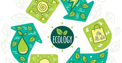 Ecologie Bonnes Nouvelles Pour La Plan Te