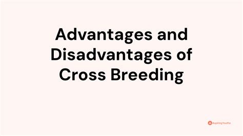 Advantages and Disadvantages of Cross Breeding