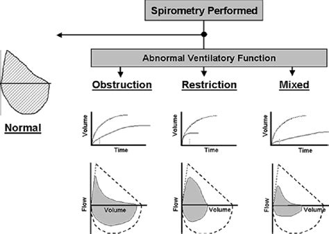 Pdf Spirometry The Measurement And Interpretation Of Ventilatory