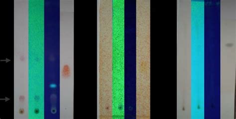 Results Of Tlc Spraying With 1 Anisaldehyde Sulfuric Acid 2 Download Scientific Diagram