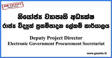 Deputy Project Director Electronic Government Procurement Secretariat